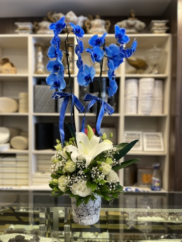 Mavi orkideli arajnman